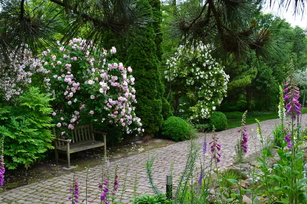 Parcours visuel au cœur du Jardin de Marguerite