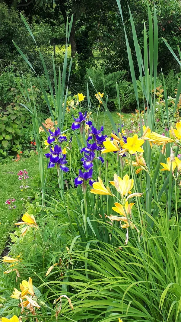 Visite commentée du Jardin de L'Eau Vive