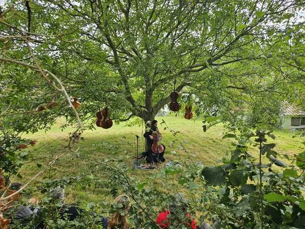 Pause nature au fil de l’eau : balades musicales
