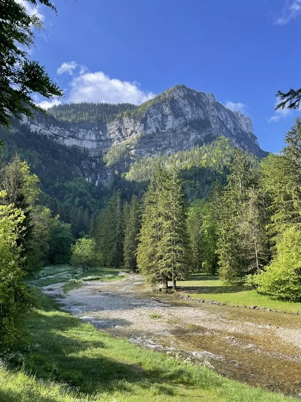 Visite sylviculture : la forêt de Chartreuse