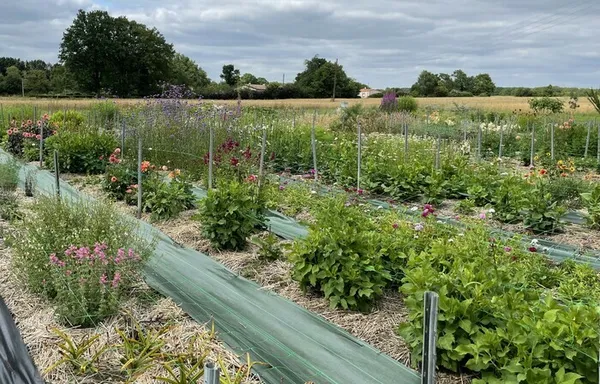 Visite de la ferme florale "Le Rire des Fleurs"