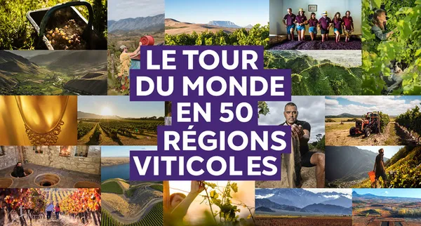 Expo - Le tour du monde en 50 régions viticoles