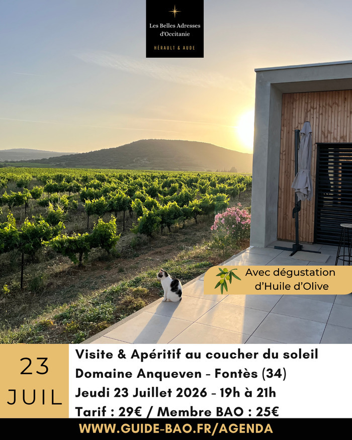 Visite guidée, vin & apéritif en terrasse au Domaine Anqueven à Fontès