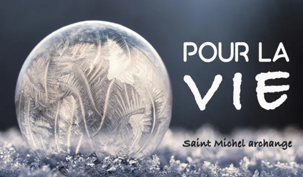 Pèlerinage pour la Vie