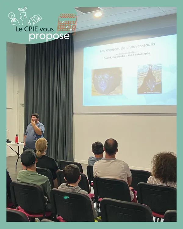 Conférence-balade : La nuit de la chauve-souris 🦇