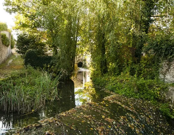 Déambulation de jardin en jardin