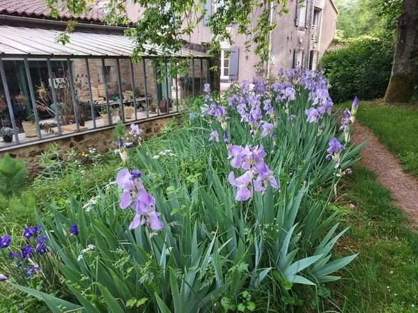 Visite du "Jardin des sens"