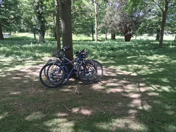 Balade à vélo - le patrimoine des bords de Marne