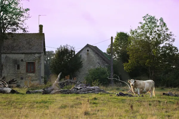 Exposition : patrimoine rural du Perche