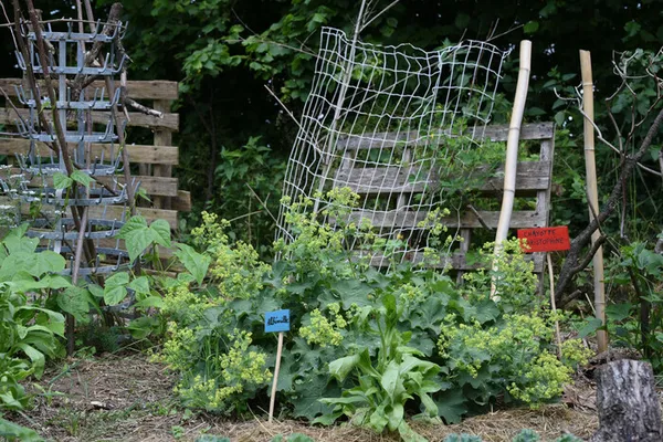Ouverture Jardin