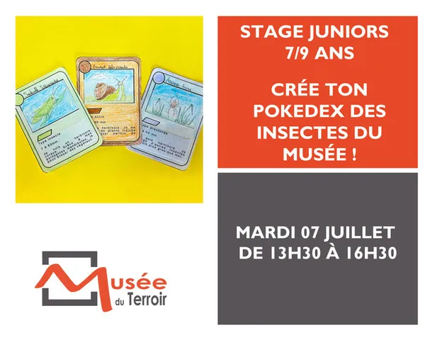 Stage Junior 7/9 ans : crée ton Pokedex des insectes du musée !
