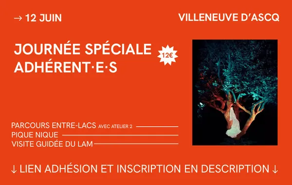 Parcours d’œuvres en plein air et visite de l'exposition Kandinsky au LAM