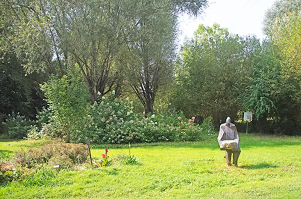 Promenade à l'arboretum