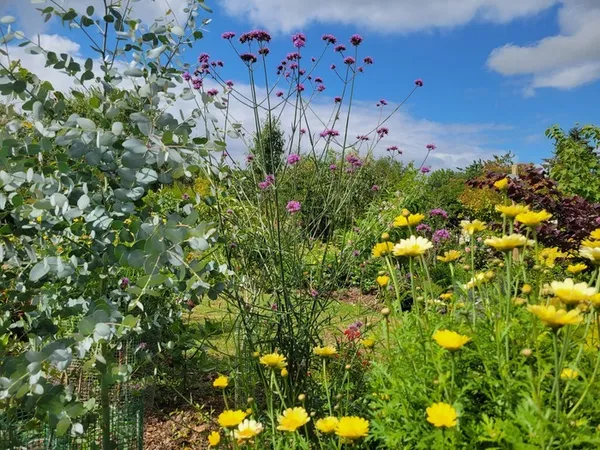 Visite du jardin "Un Écrin de Florilèges"