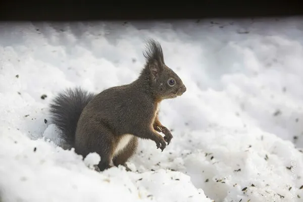 La nature se prépare à l’hiver