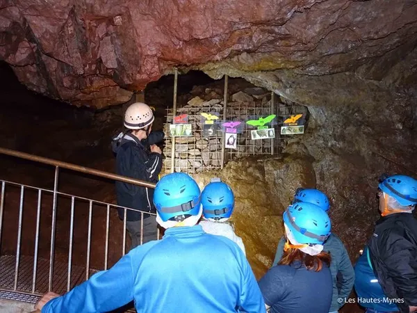 Nuit internationale de la chauve-souris
aux Hautes-Mynes du Thillot