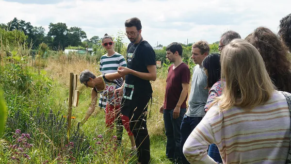 Balade gourmande : cueillette et cuisine de plantes sauvages !
