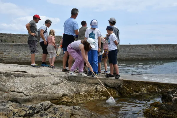 Pêche et plancton sur le port de Concarneau