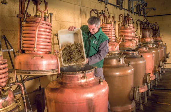 Visite guidée de la Distillerie - Verveine du Velay Pagès