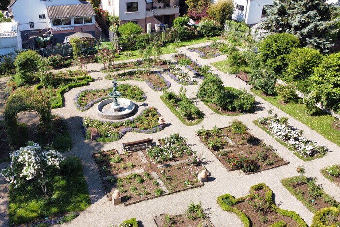 Visite d'une Roseraie Centenaire: La Roseraie de Schiltigheim