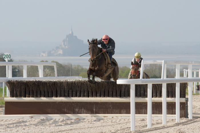 Visite guidée du complexe équin de la baie du Mont-Saint-Michel