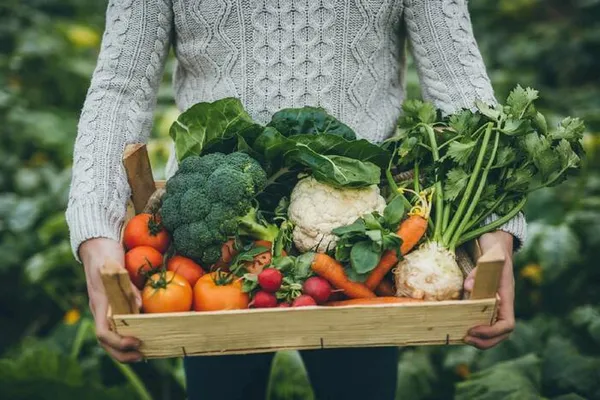 Atelier : préserver sa santé par l’alimentation