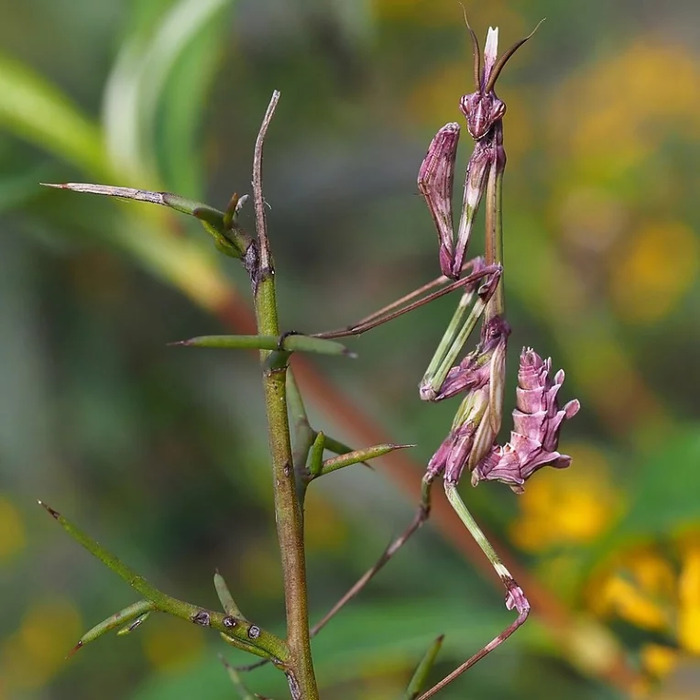 Visite LPO - Aventure dans le mini-monde