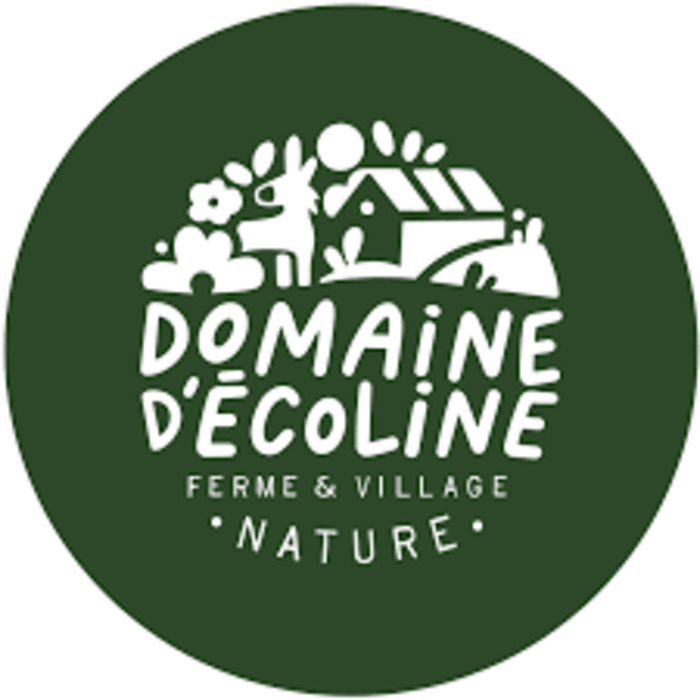 La forêt enchantée