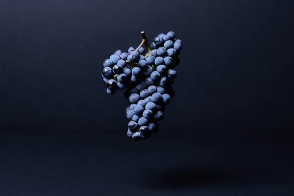 Les Rendez-vous du Château Haut-Bailly