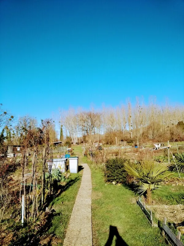 Visite du jardin partagé Collembole