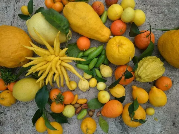 Les Vendredis Vitaminés