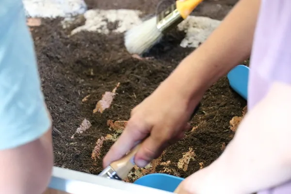 Atelier Fouiller comme un archéologue / 4-6 ans