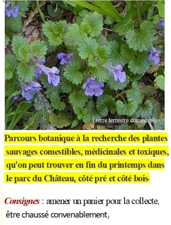Parcours botanique dans le parc