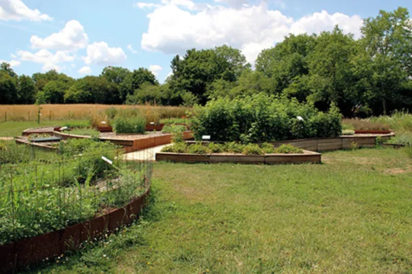 Visite du jardin botanique et de la parcelle agricole expérimentale