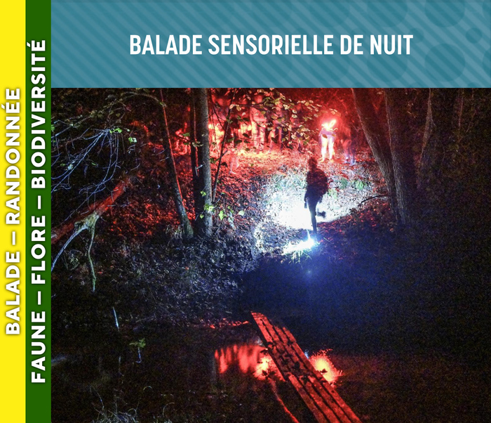 LANDES DE GASCOGNE - Balade sensorielle de nuit