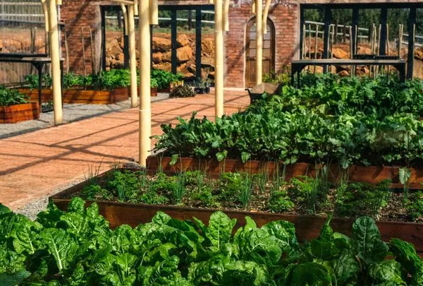 Biodiversité, photo et contes