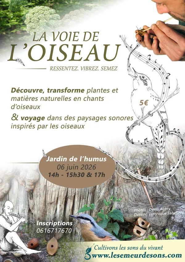 La voie de l'oiseau, avec le Semeur de Sons