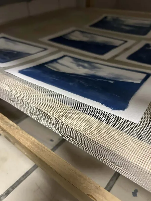 Ateliers d'initiation au cyanotype