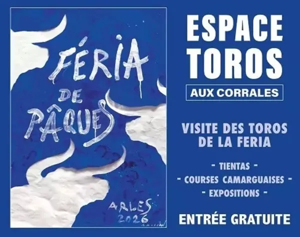 Espaces toros