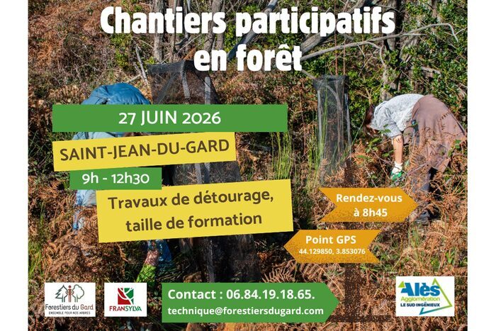 Les chantiers participatifs en forêt font leur grand retour !