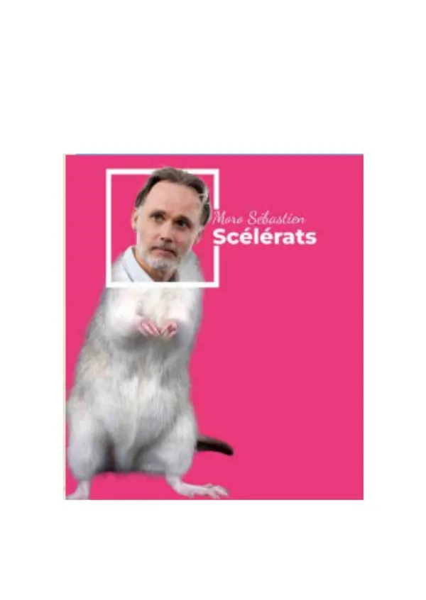 Scélérats, la conférence dont vous êtes le héros