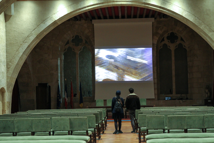 Projection de la vidéo-danse Aemulatio
picti, réalisée dans le cadre du projet de Rési’Danse au musée