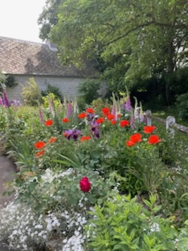 Les 5 ses au jardin : La vue