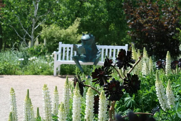 Découverte des Jardins Fruitiers de Laquenexy