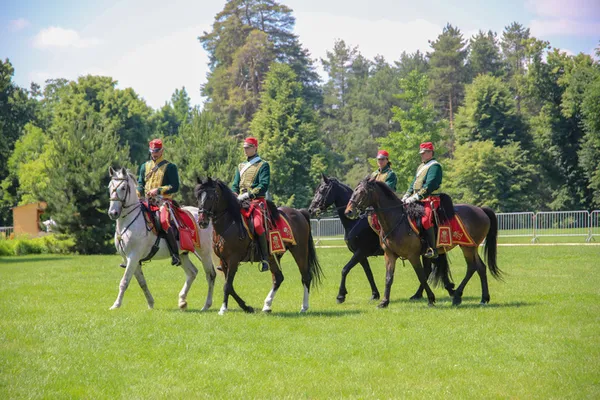 Carrousel de hussards