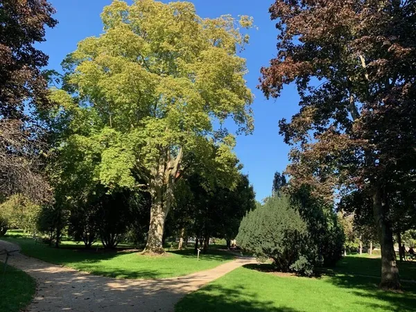 Parcours de l’arbre