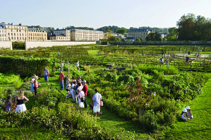 Visite guidée thématique : Un jardin de transmission depuis l'origine