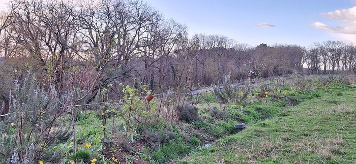 Découverte du jardin des bonbons