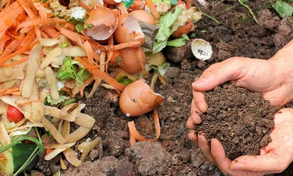Atelier : Réussir ses composts