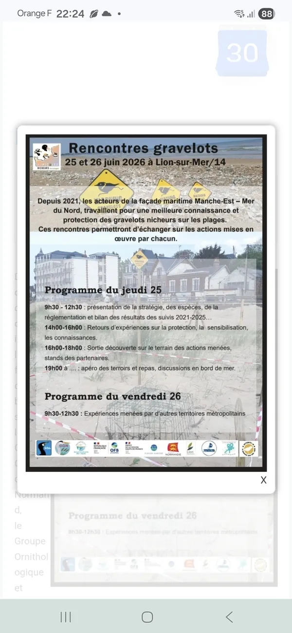 LION-SUR-MER/14 : rencontres ornithologiques
